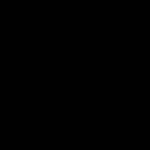 Meet your Posher, Brock